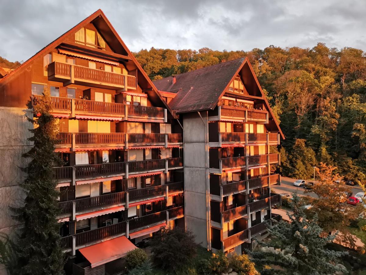 Gaishoell-Wasserfaelle Apartment Schwarzwald Sasbachwalden Εξωτερικό φωτογραφία