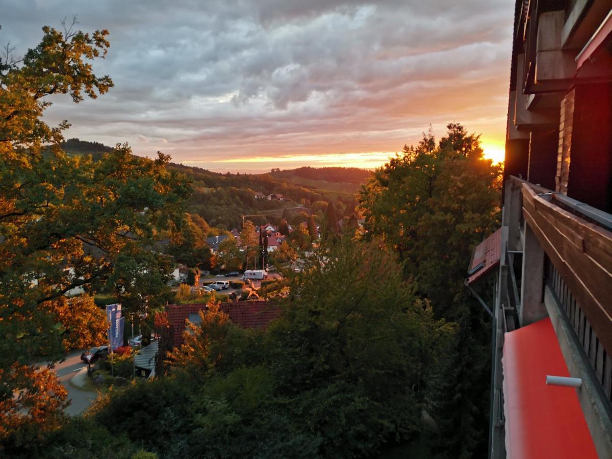 Gaishoell-Wasserfaelle Apartment Schwarzwald Sasbachwalden Εξωτερικό φωτογραφία